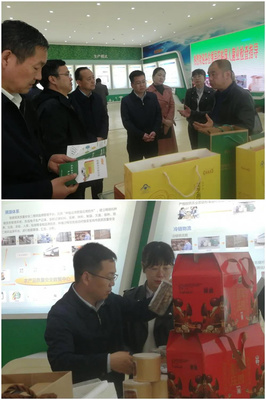 省農(nóng)業(yè)農(nóng)村廳赴陳倉(cāng)區(qū)慕儀鎮(zhèn)調(diào)研 聚焦農(nóng)作物產(chǎn)業(yè)發(fā)展，助推農(nóng)業(yè)現(xiàn)代化升級(jí)