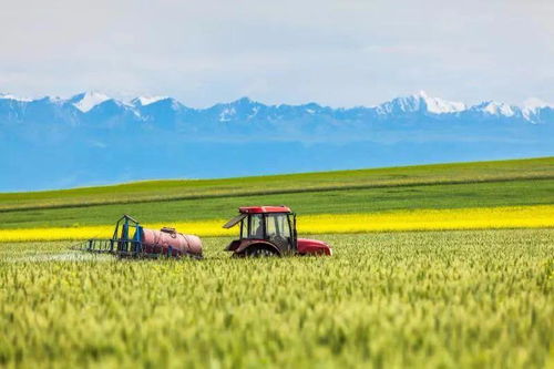 未來(lái)十年餐桌變革 智慧農(nóng)業(yè)如何重塑我們的米袋子與菜籃子